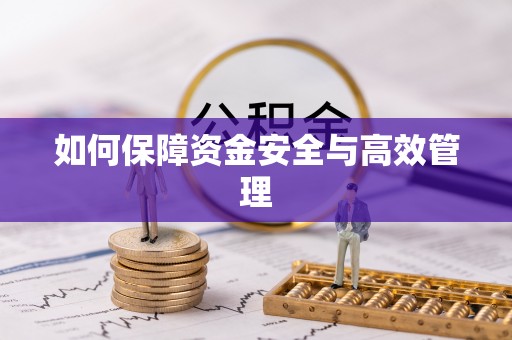 南川如何保障资金安全与高效管理