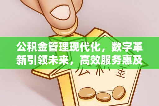 南川公积金管理现代化，数字革新引领未来，高效服务惠及民生