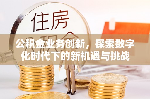 南川公积金业务创新，探索数字化时代下的新机遇与挑战