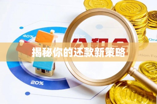 南川揭秘你的还款新策略