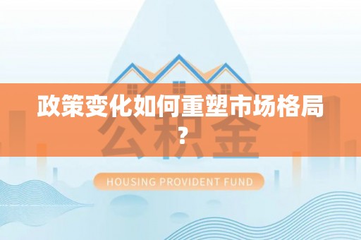 南川政策变化如何重塑市场格局？