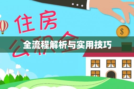 南川全流程解析与实用技巧