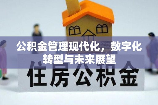 南川公积金管理现代化，数字化转型与未来展望
