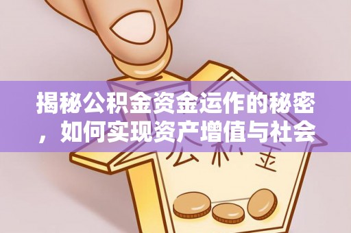 南川揭秘公积金资金运作的秘密，如何实现资产增值与社会福利双赢？