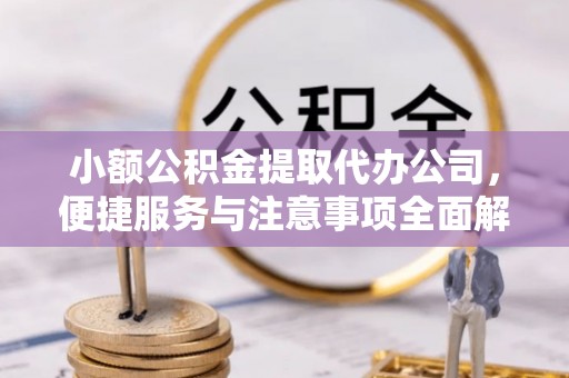 南川小额公积金提取代办公司，便捷服务与注意事项全面解析