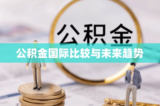 南川公积金国际比较与未来趋势