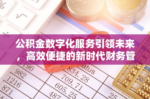南川公积金数字化服务引领未来，高效便捷的新时代财务管理