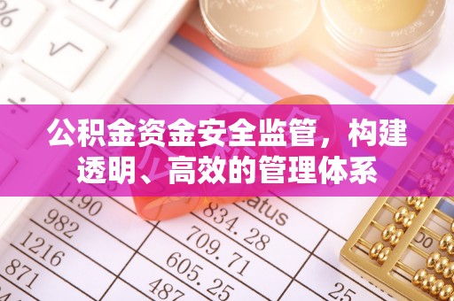 南川公积金资金安全监管，构建透明、高效的管理体系