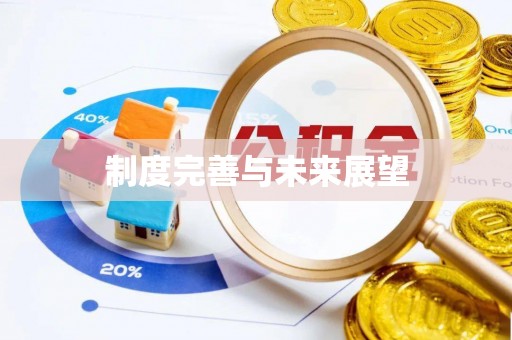 南川制度完善与未来展望