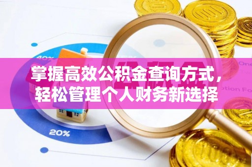 南川掌握高效公积金查询方式，轻松管理个人财务新选择