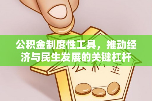 南川公积金制度性工具，推动经济与民生发展的关键杠杆
