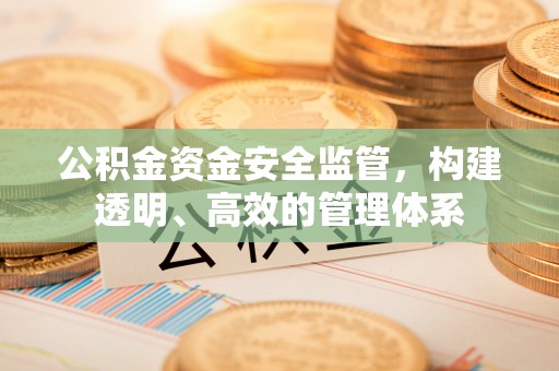 南川公积金资金安全监管，构建透明、高效的管理体系