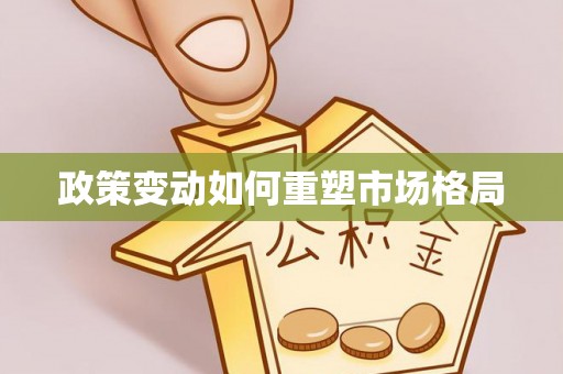 南川政策变动如何重塑市场格局