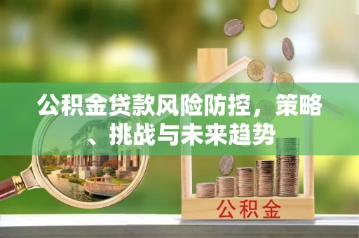 南川公积金贷款风险防控，策略、挑战与未来趋势