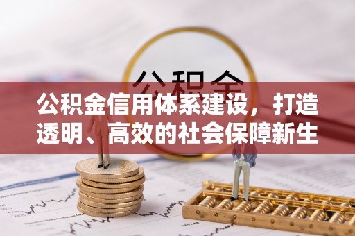南川公积金信用体系建设，打造透明、高效的社会保障新生态