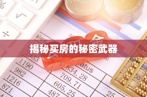 南川揭秘买房的秘密武器