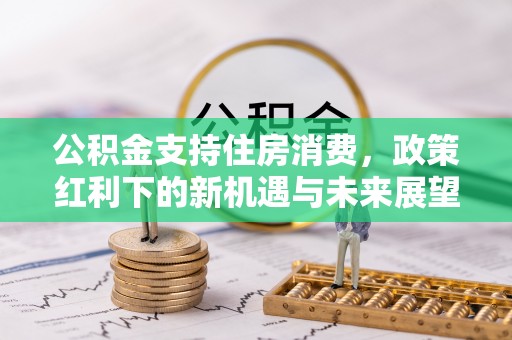 南川公积金支持住房消费，政策红利下的新机遇与未来展望