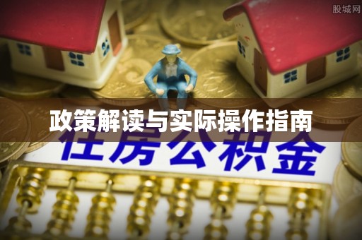 南川政策解读与实际操作指南
