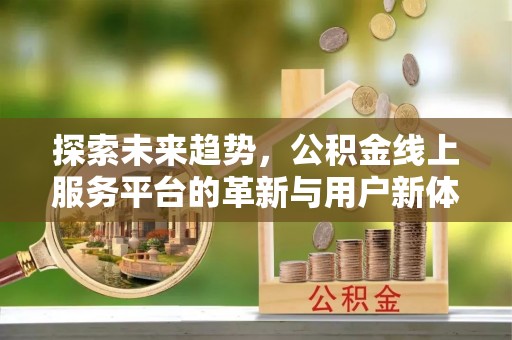 南川探索未来趋势，公积金线上服务平台的革新与用户新体验