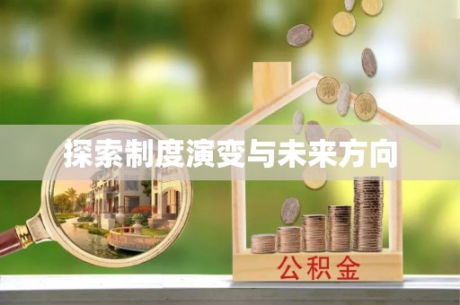 南川探索制度演变与未来方向