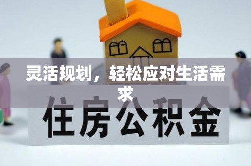 南川灵活规划，轻松应对生活需求