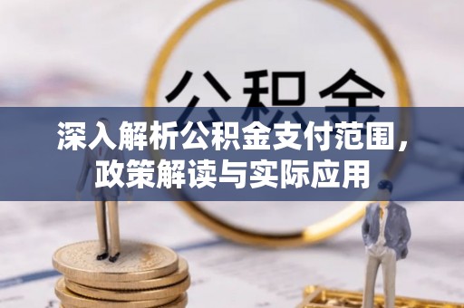 南川深入解析公积金支付范围，政策解读与实际应用