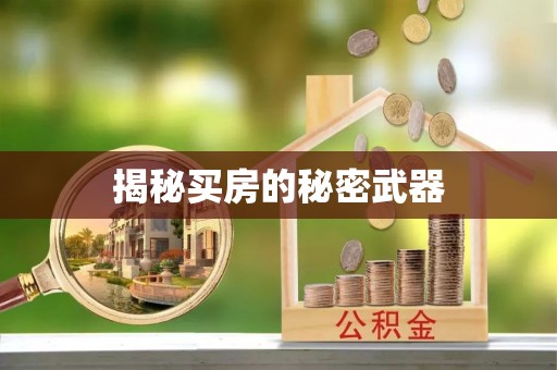 南川揭秘买房的秘密武器