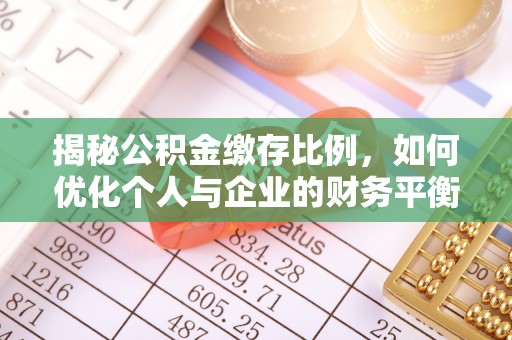 南川揭秘公积金缴存比例，如何优化个人与企业的财务平衡