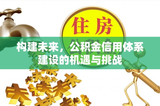 南川构建未来，公积金信用体系建设的机遇与挑战