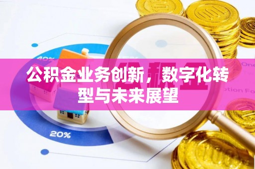 南川公积金业务创新，数字化转型与未来展望