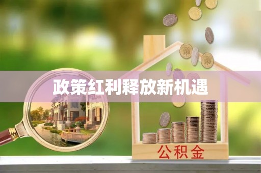 南川政策红利释放新机遇