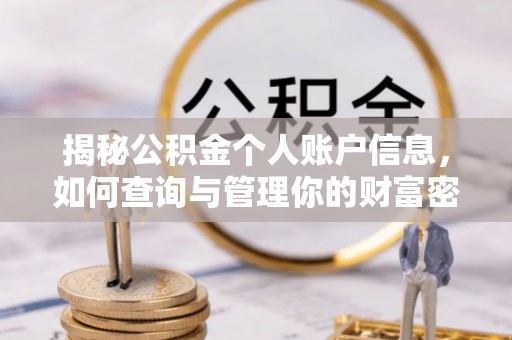 南川揭秘公积金个人账户信息，如何查询与管理你的财富密码