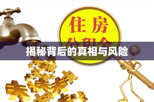 南川揭秘背后的真相与风险