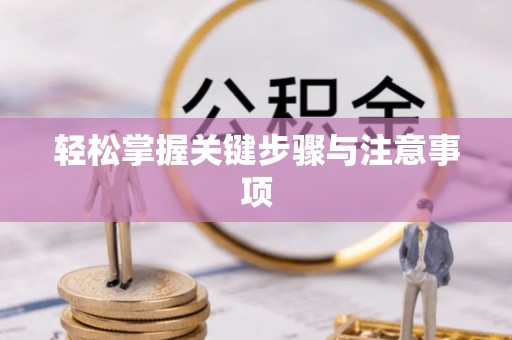 南川轻松掌握关键步骤与注意事项