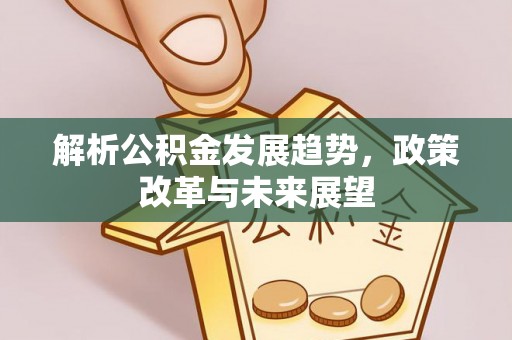 南川解析公积金发展趋势，政策改革与未来展望