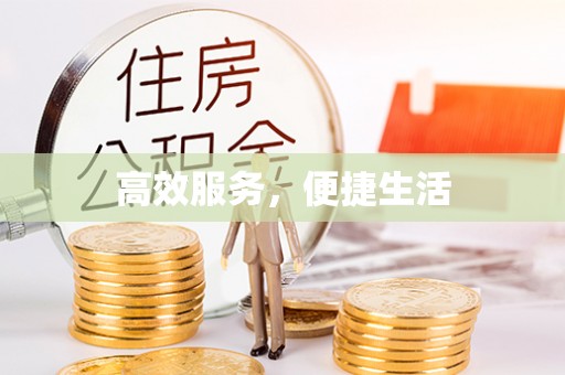 南川高效服务，便捷生活
