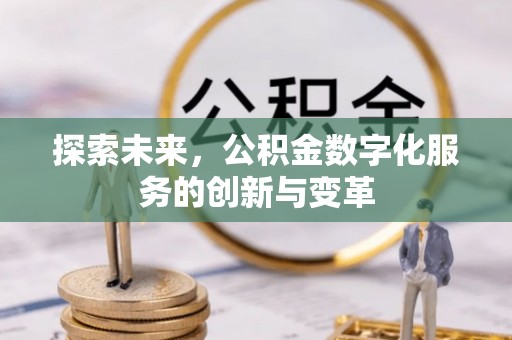 南川探索未来，公积金数字化服务的创新与变革