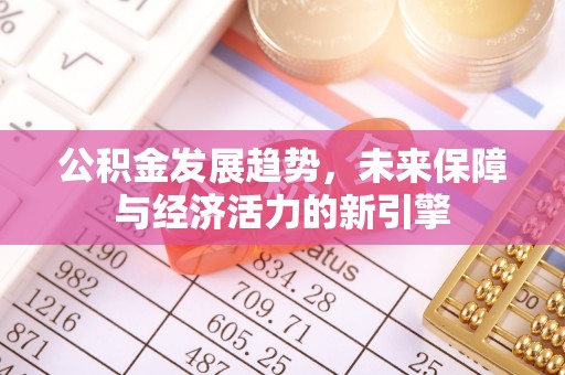 南川公积金发展趋势，未来保障与经济活力的新引擎