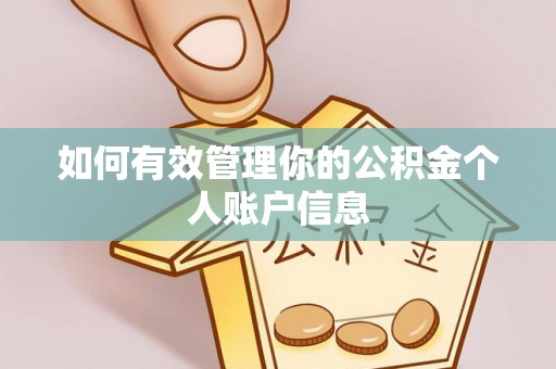 南川如何有效管理你的公积金个人账户信息