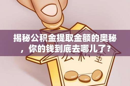 南川揭秘公积金提取金额的奥秘，你的钱到底去哪儿了？