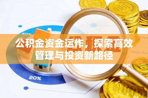 南川公积金资金运作，探索高效管理与投资新路径