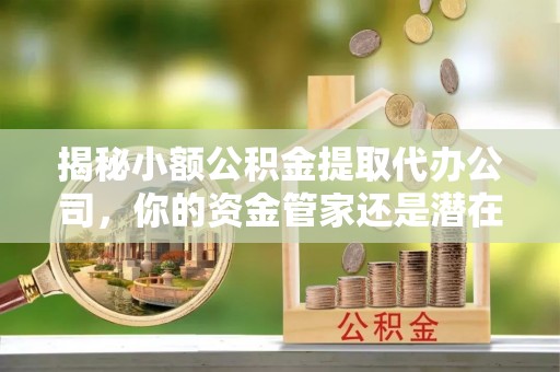 南川揭秘小额公积金提取代办公司，你的资金管家还是潜在风险？