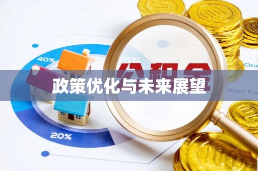南川政策优化与未来展望