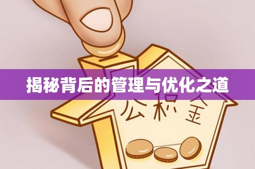 南川揭秘背后的管理与优化之道