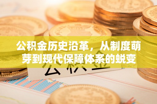 南川公积金历史沿革，从制度萌芽到现代保障体系的蜕变