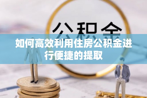 南川如何高效利用住房公积金进行便捷的提取