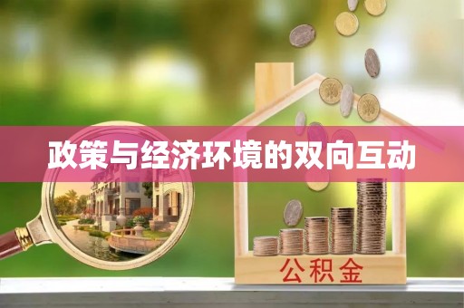 南川政策与经济环境的双向互动