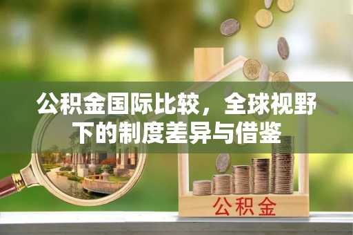 南川公积金国际比较，全球视野下的制度差异与借鉴