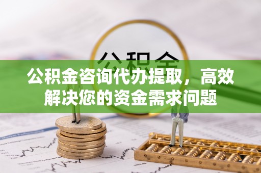 南川公积金咨询代办提取，高效解决您的资金需求问题