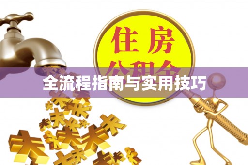 南川全流程指南与实用技巧